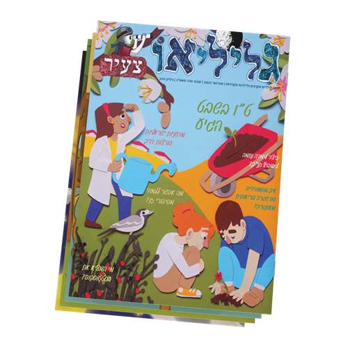גליליאו צעיר